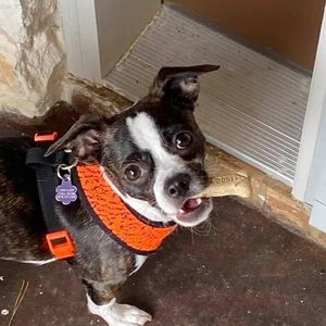 Meet your Posher, Jackie